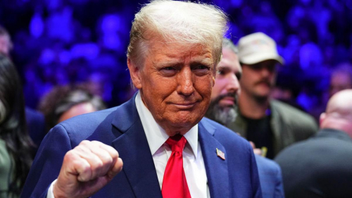 Трамп заявил, что поедет на открытие Нотр-Дам де Пари после реставрации