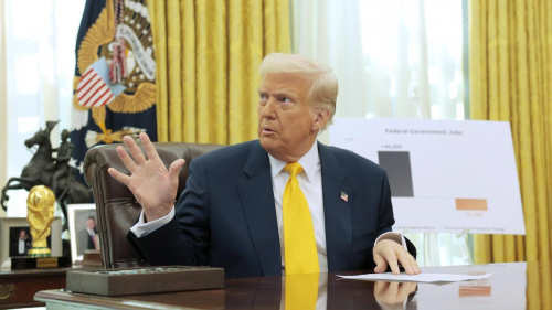 "Находимся на очень высоком уровне": Трамп оценил телефонный разговор с Зеленским