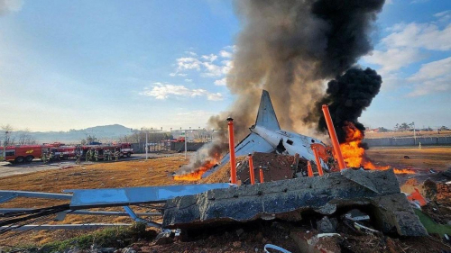 Пассажирский самолет разбился в Южной Корее, на борту находился 181 человек (видео)