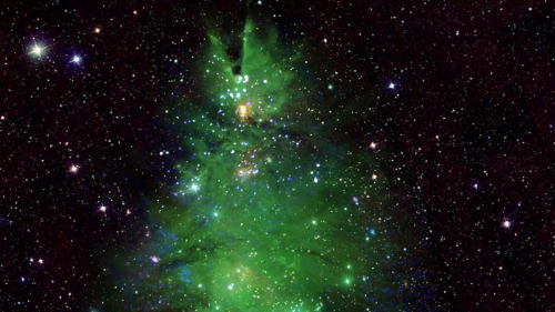 Рождественскую елку "сняли" на фото телескопы NASA