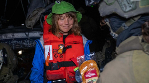 "Танцевали, мешая спать": военных Израиля обвинили в издевательствах над Гретой Тунберг