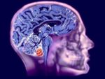 Проведение МРТ головного мозга